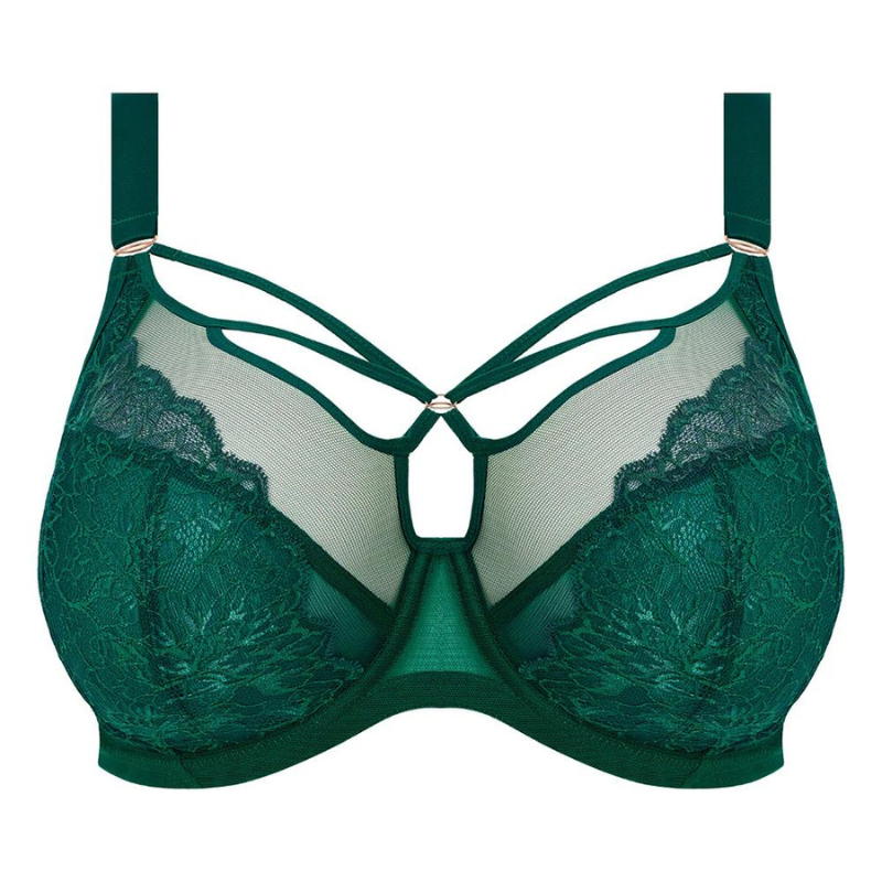 Elomi Brianna Plunge Bra Rainforest