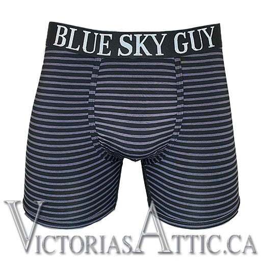 Blue Sky Middle Man Boxer Brief Stripe - Victoria's Attic