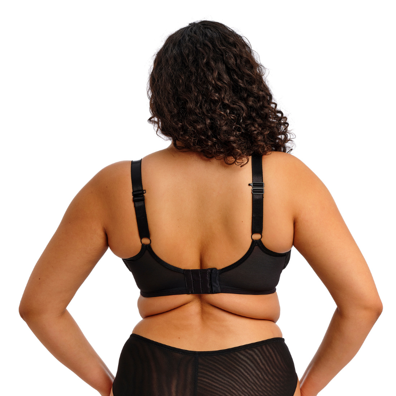 Elomi Reja Plunge Bra Black - Victoria's Attic