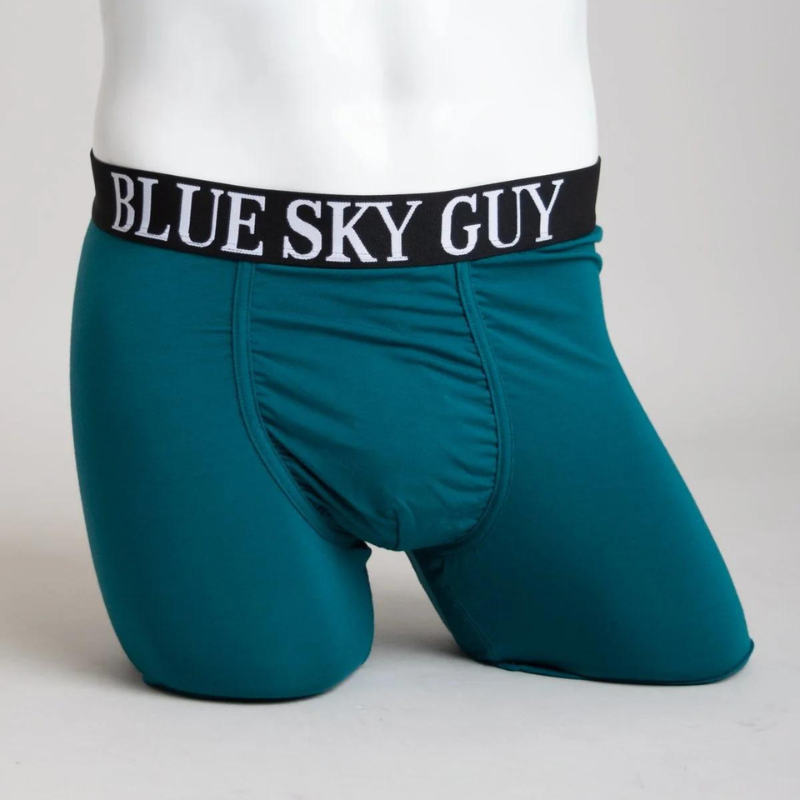 Blue Sky Middle Man Boxer Brief Teal - Victoria's Attic