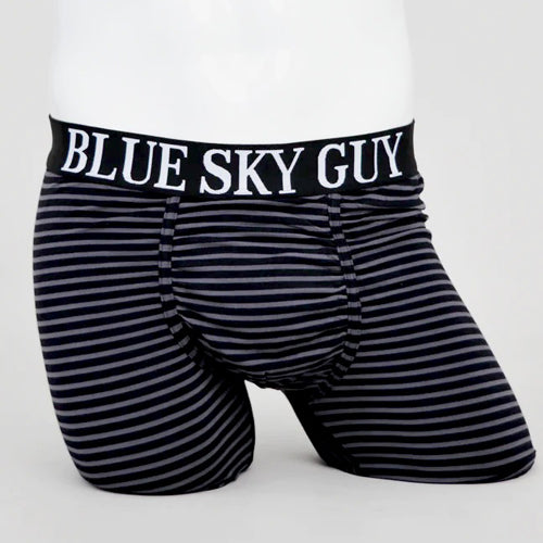 Blue Sky Middle Man Boxer Brief Stripe - Victoria's Attic