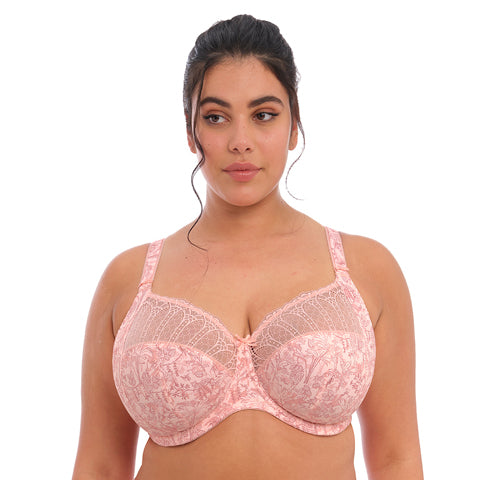 Elomi Charley Moulded Spacer Bra Pansy – Victoria's Attic