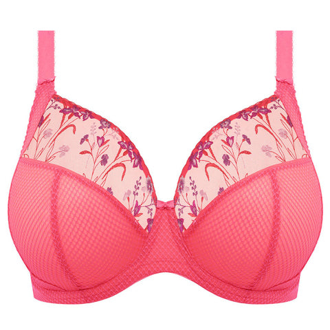 Elomi Charley Underwire Plunge Bra in Pansy (PAY) - Busted Bra Shop