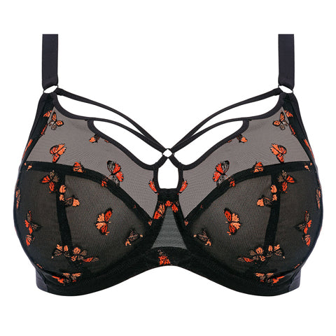 Load image into Gallery viewer, Elomi Sachi Plunge Bra Black Butterfly - Victoria&amp;#39;s Attic
